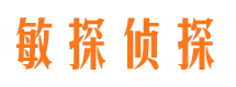 下花园侦探